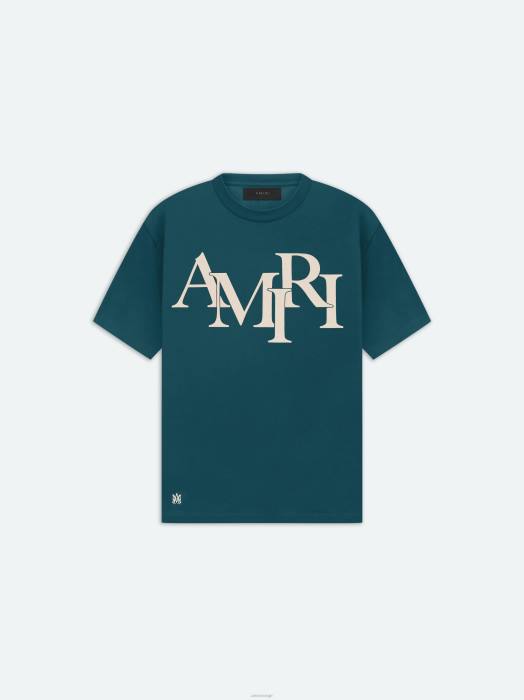 AMIRI menn regnskog merke forskjøvet logo-t-skjorte NFBX60